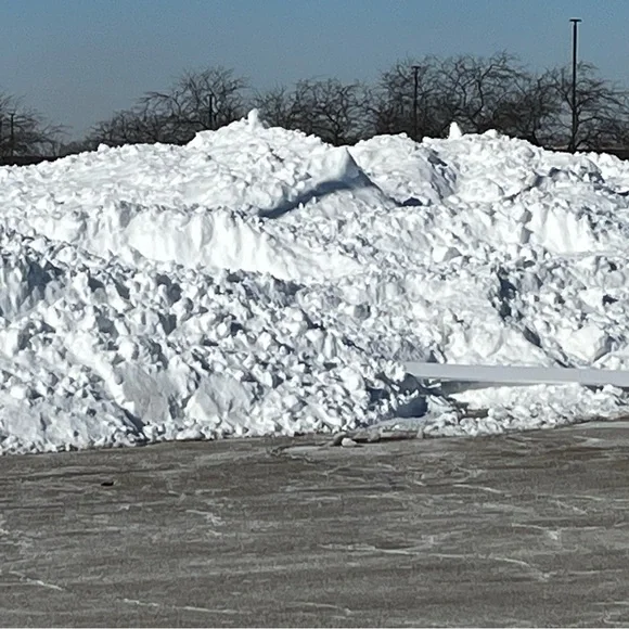 SNOW - Picture 1 of 1